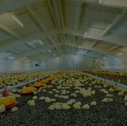 Customer Cases (Demo Data)